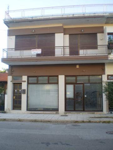 247_p9140984.jpg