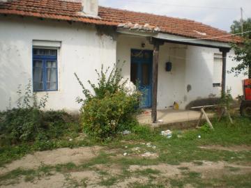 391_p9110005.jpg