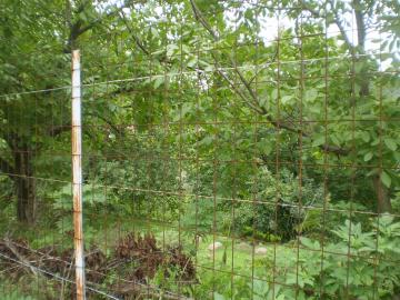 395_pa060030.jpg