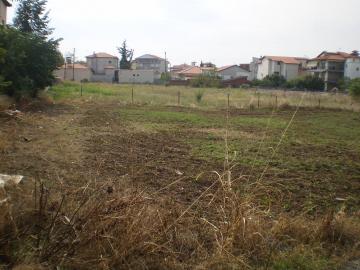 400_p9110006.jpg
