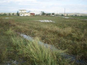 432_p9080001.jpg
