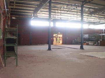 509_pa130031.jpg